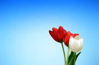 打爆别人短信的软件