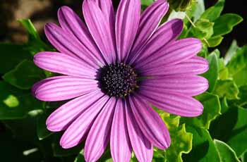 虚拟号码外呼软件